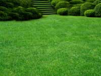 Benefits of Core Lawn Aeration