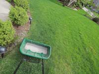 Why Should I Have My Lawn Fertilized?