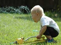 Watering Your Lawn