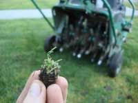 Lawn Aeration Process