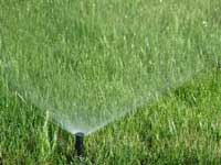 Sprinkler System & Core Aeration